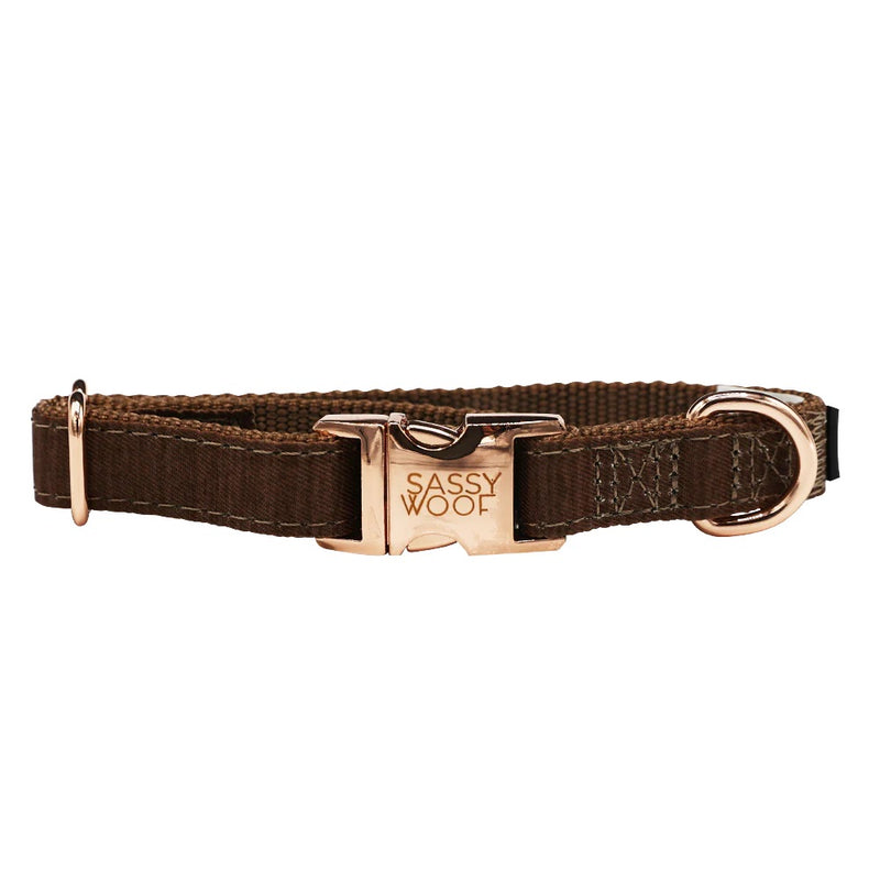 Sassy Woof DOG COLLAR - TEDDY