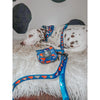 Sassy Woof Dog Leash -Superman™ & Krypto