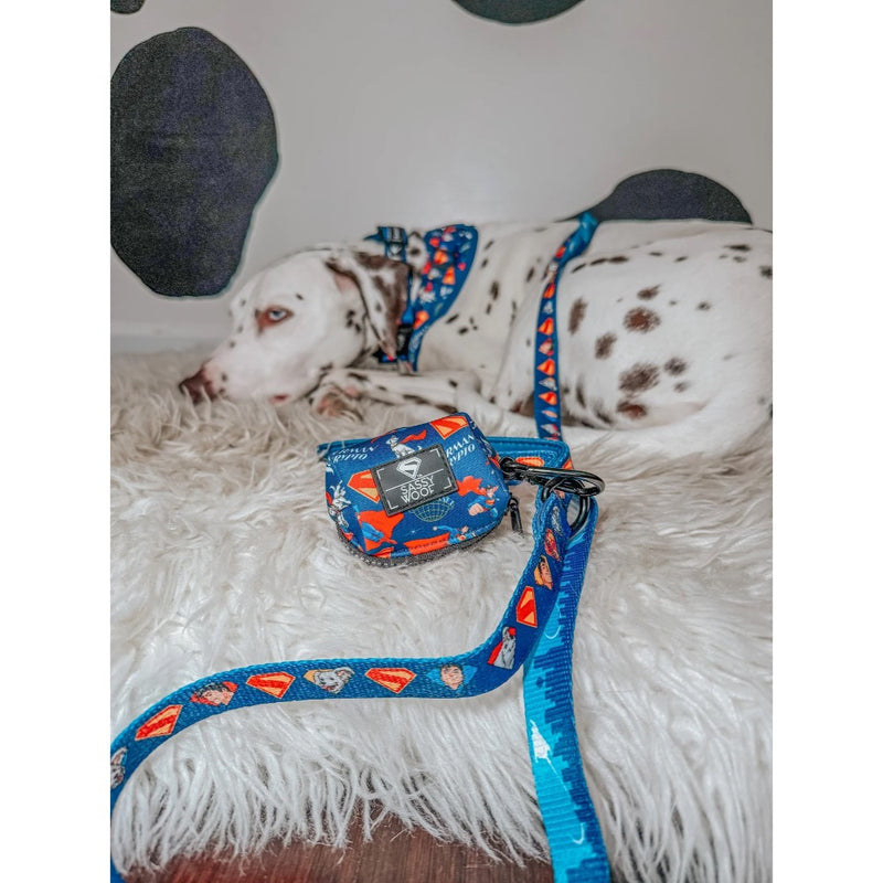 Sassy Woof Dog Leash -Superman™ & Krypto