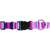 Yellow Dog Design Purple & Pink Stripes Collar