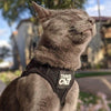 Travel Cat "The True Adventurer" Reflective Cat & Kitten Harness and Leash