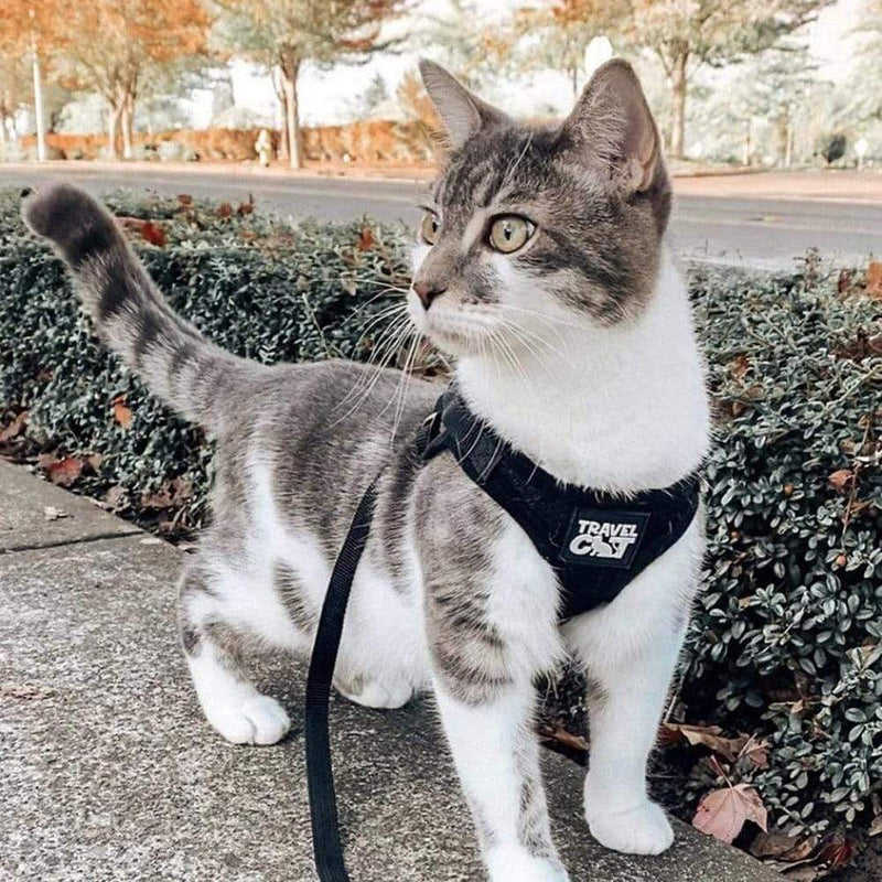 Travel Cat "The True Adventurer" Reflective Cat & Kitten Harness and Leash