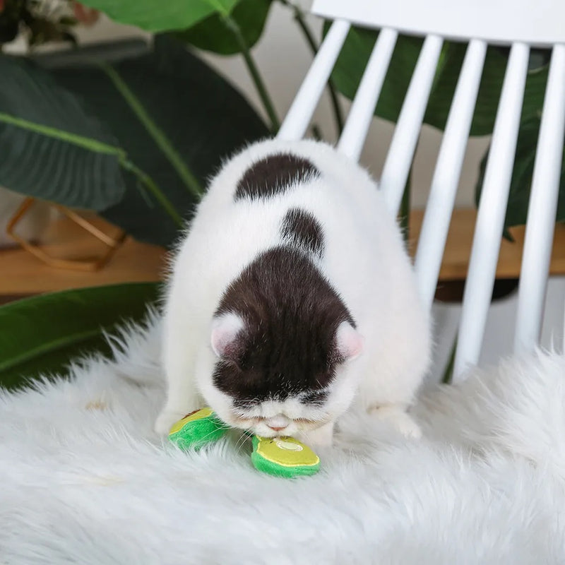 HugSmart Meow Buddies Crazy Catcher – Avocado