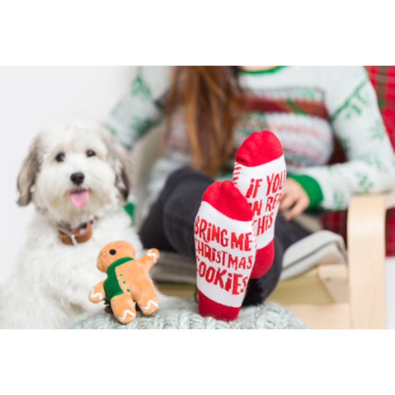 Pearhead Sock & Dog Toy Gift Set Christmas Cookie