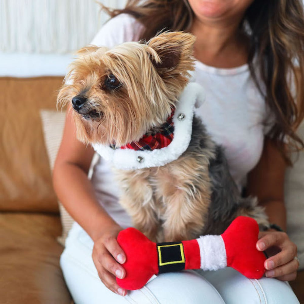 Santa Suit Bone by Lulubelles