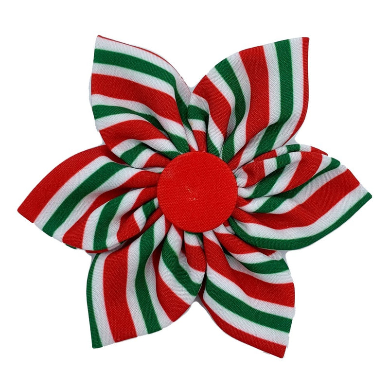 Huxley & Kent Peppermint Stripe Pinwheel