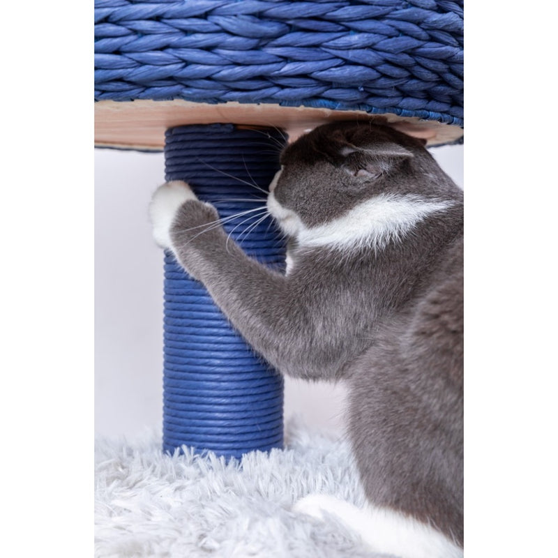 Petpals Galaxy Blue and Gray 4 Level 40" Cat Tree With Paper Rope Posts, Shag Fur Perch, and Condo