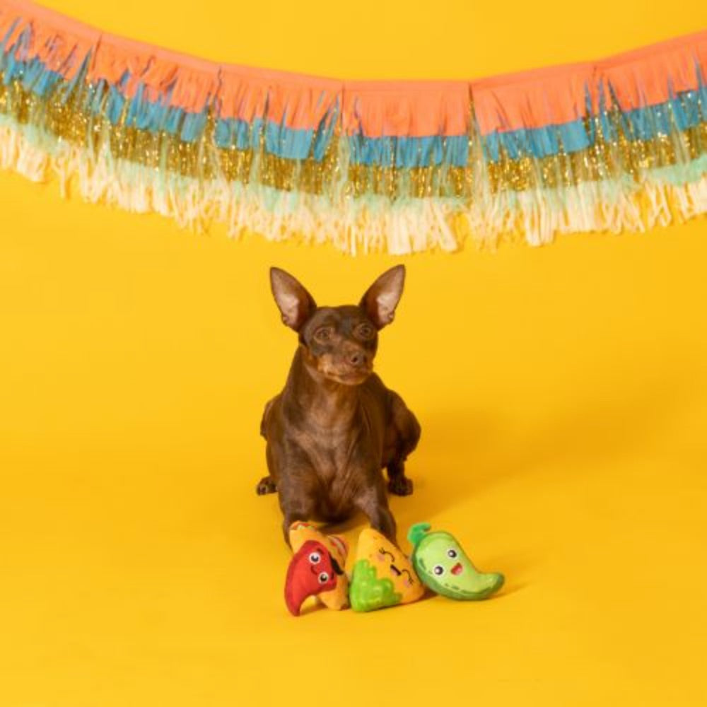 Fringe Studio Bit Of A Kick Small Plush Dog Toys Set Of 3