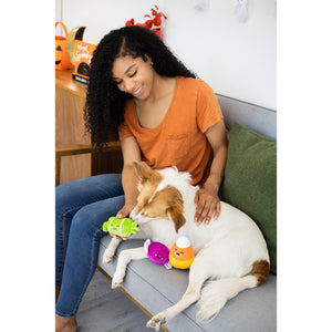 Pearhead Trick Or Treat Dog Toy Set