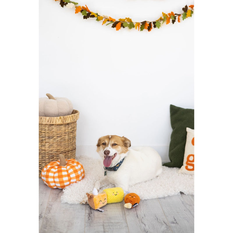 Pearhead Thanksgiving Dinner Dog Toy Set