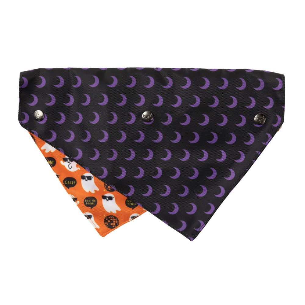 FuzzYard Bandana Boogie Nights Orange