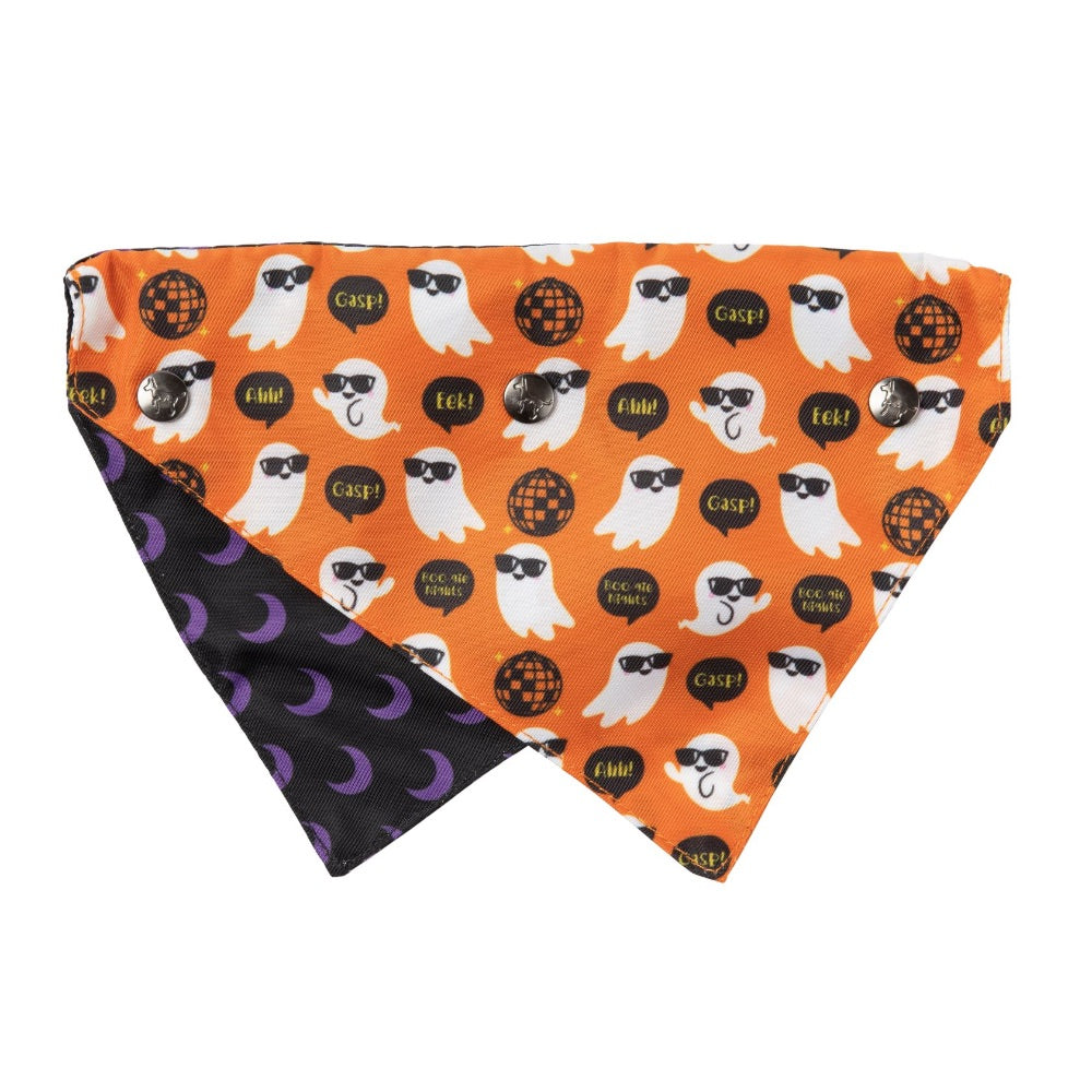 FuzzYard Bandana Boogie Nights Orange