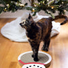 Pearhead Holiday Snowman Cat Scratch Pad