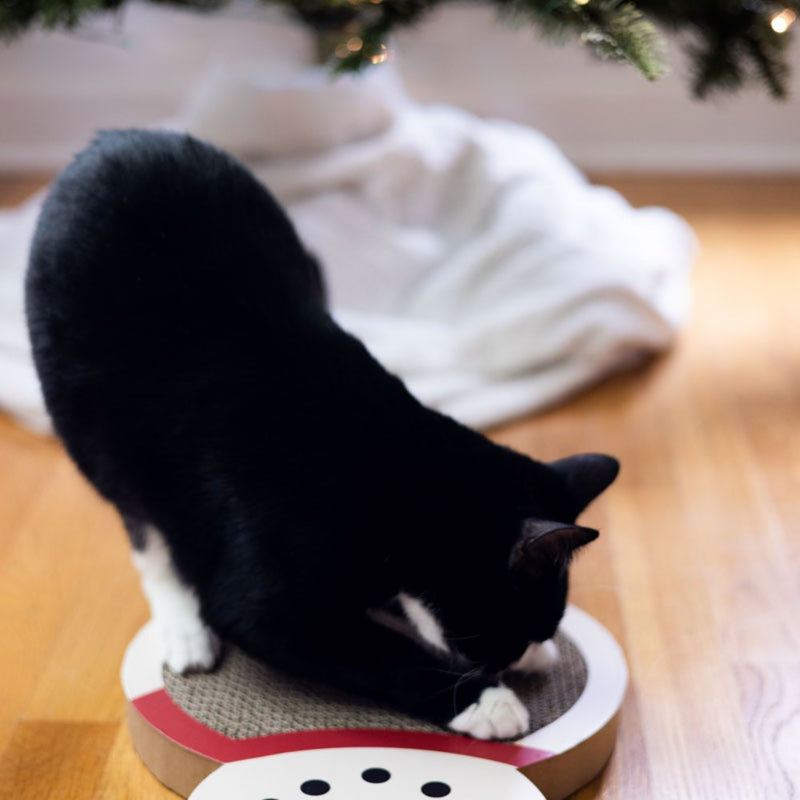 Pearhead Holiday Snowman Cat Scratch Pad