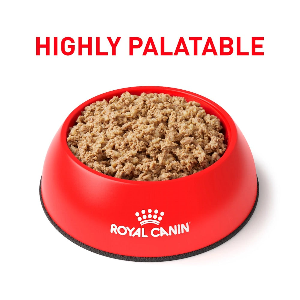 Royal Canin Veterinary Diet Gastrointestinal Canned Dog Food