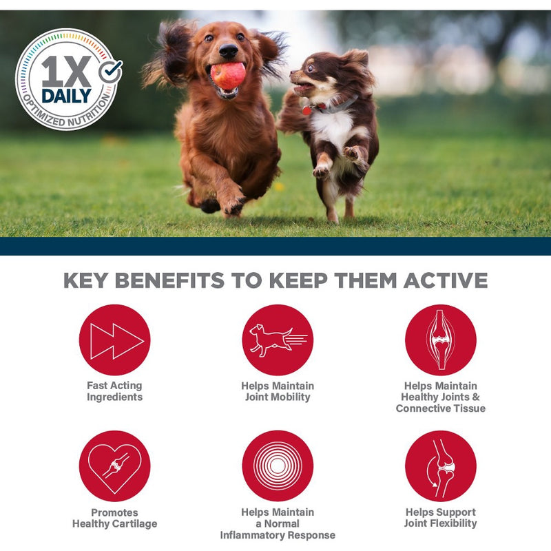 Veterinary Formula Clinical Care Ultimate Joint Health Dog Supplement- 30 Chews
