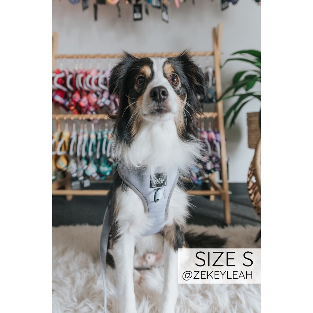 Sass nuturious dog harness