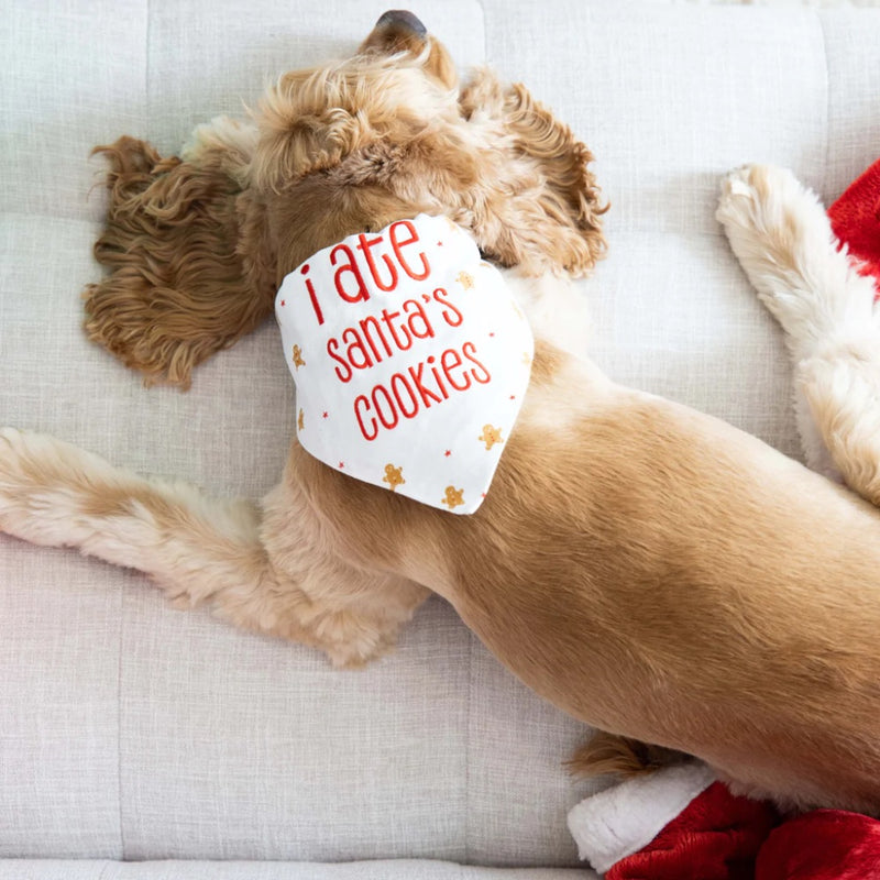 Pearhead "I Ate Santa's Cookies" holiday pet bandana