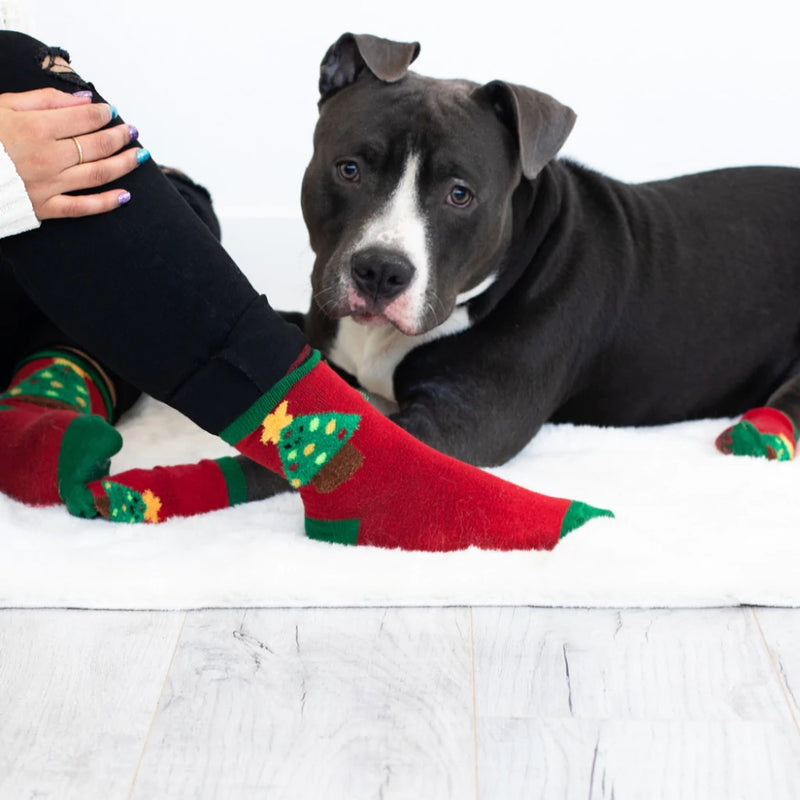 Pearhead Christmas Tree Human and Dog Sock Set
