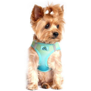 Doggie Design American River Choke Free Dog Harness Ombre Collection - Aruba Blue