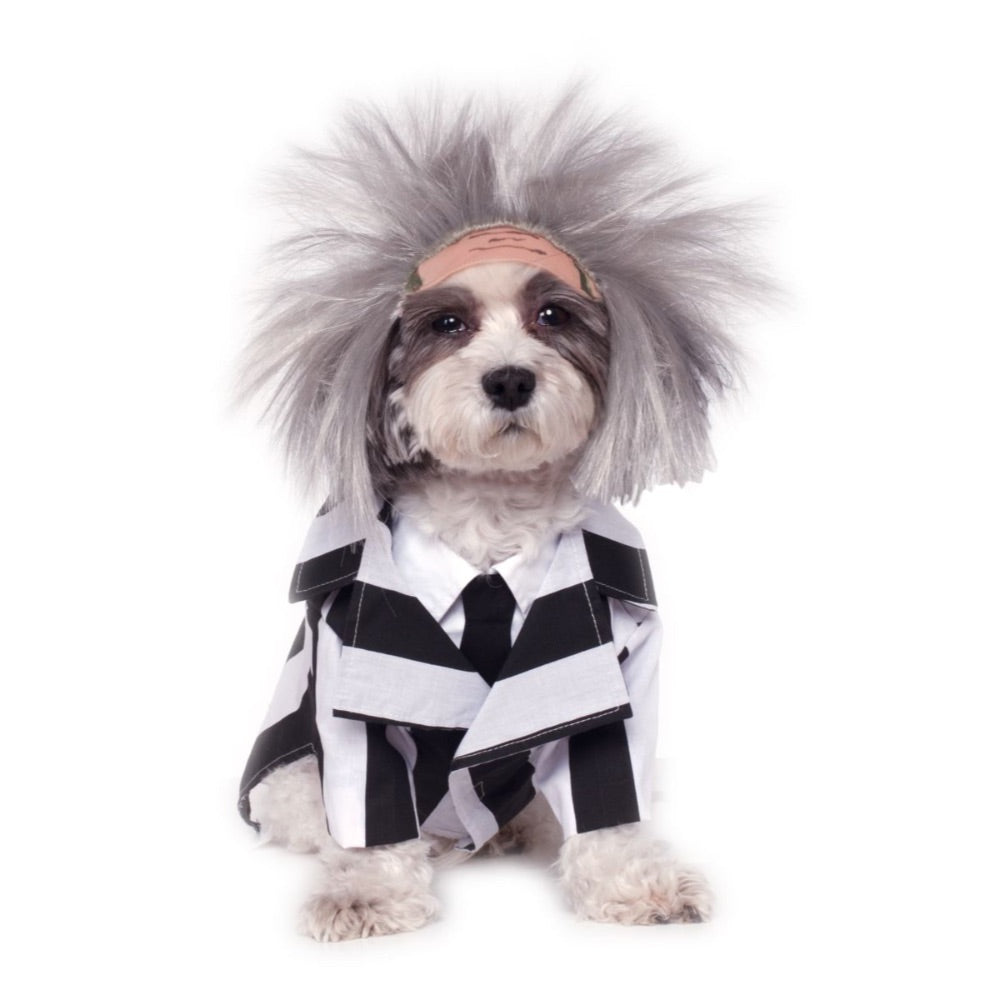 Rubie's Pet Beetlejuice Costume