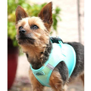 Doggie Design American River Choke Free Dog Harness Ombre Collection - Aruba Blue