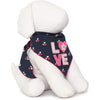 Tail Trends Love with Hearts & Flowers Valentines Bandana