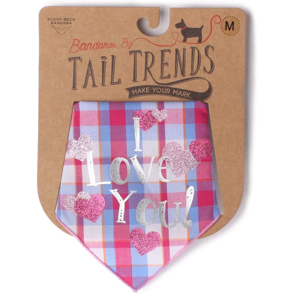 Tail Trends Silver I love You Valentines Bandana