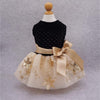 Fitwarm Embroidery Sequins Dog Dresses Tulle Pet Gown Black