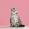HugSmart City Impression Breakaway Cat Collar – Broadway