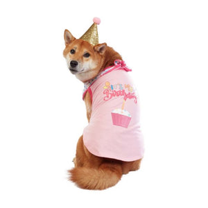Best Furry Friends Birthday Girl Party Set (set of 4)
