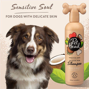 Pet Head Sensitive Soul Shampoo- Coconut Scented 16 oz.