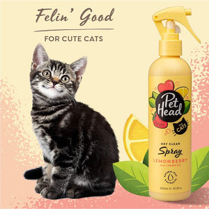Pet Head Felin' Good Dry Clean Spray 10.1 oz.
