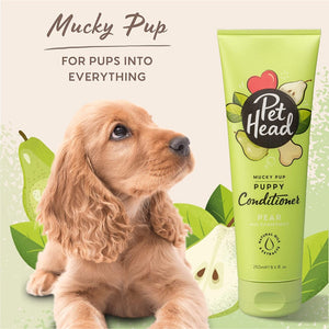 Pet Head Mucky Puppy Conditioner- Pear Scented 8.4 oz.