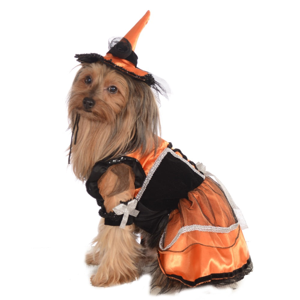 Rubie's Orange Witch Pet Costume