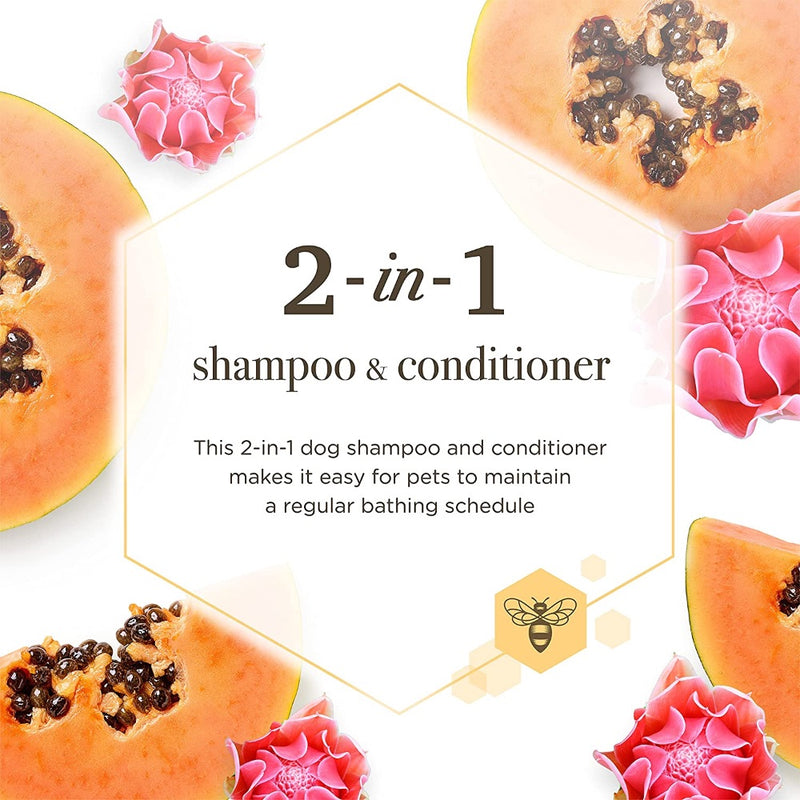 Burt's Bees Papaya & Awaphui Shampoo & Conditioner - 12 oz