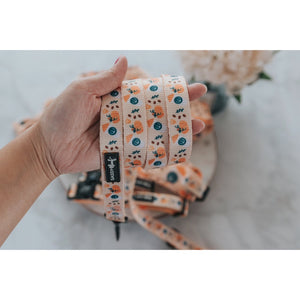 Sassy Woof Leash - A Latte Pupkin Fabric