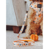 Sassy Woof Leash - A Latte Pupkin Fabric