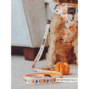 Sassy Woof Leash - A Latte Pupkin Fabric