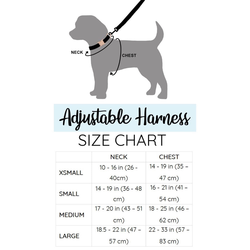 Sassy Woof ADJUSTABLE HARNESS - BLUMOND