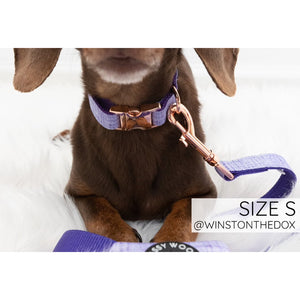 Sassy Woof Leash - Aurora