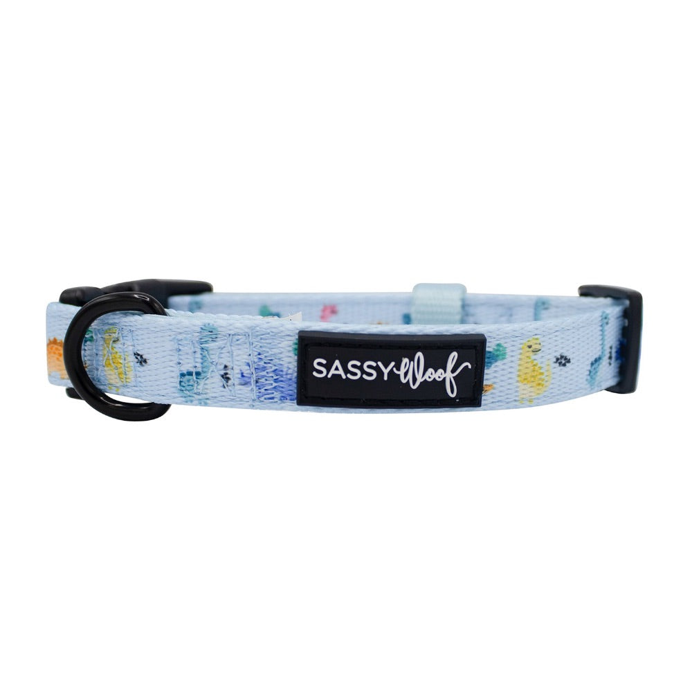 Sassy Woof Collar- Dinosaur