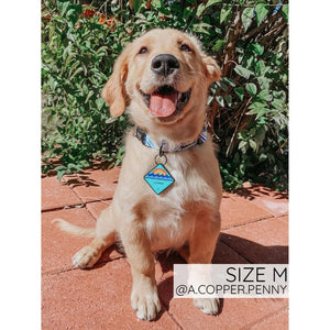 Sassy Woof Collar - Blueberry Lemonade