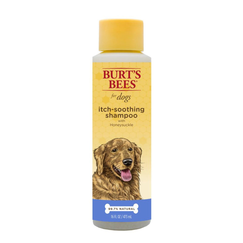 Burts Bees Itch Soothing Shampoo with Honeysuckle, 16 Ounces