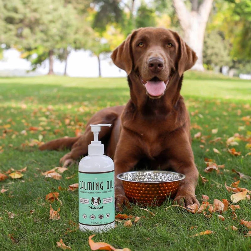 Natural Dog Company Calming Oil 16 fl.oz