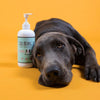 Natural Dog Company Calming Oil 16 fl.oz