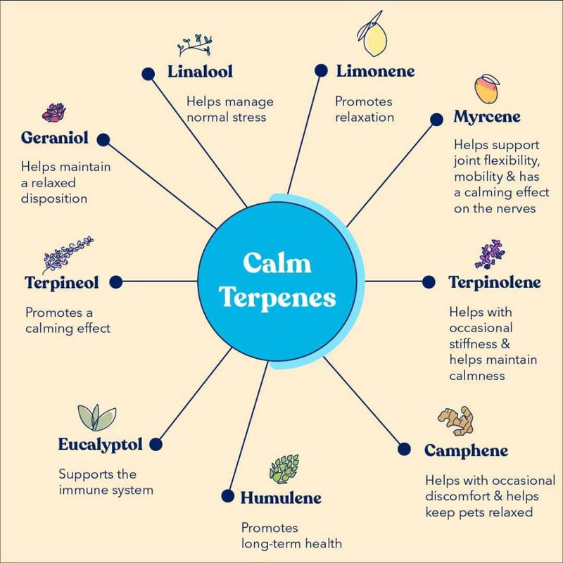 Honest Paws CBD Calm Tincture