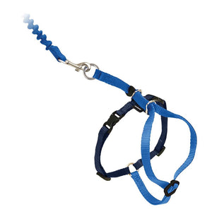 Come With Me Kitty Harness