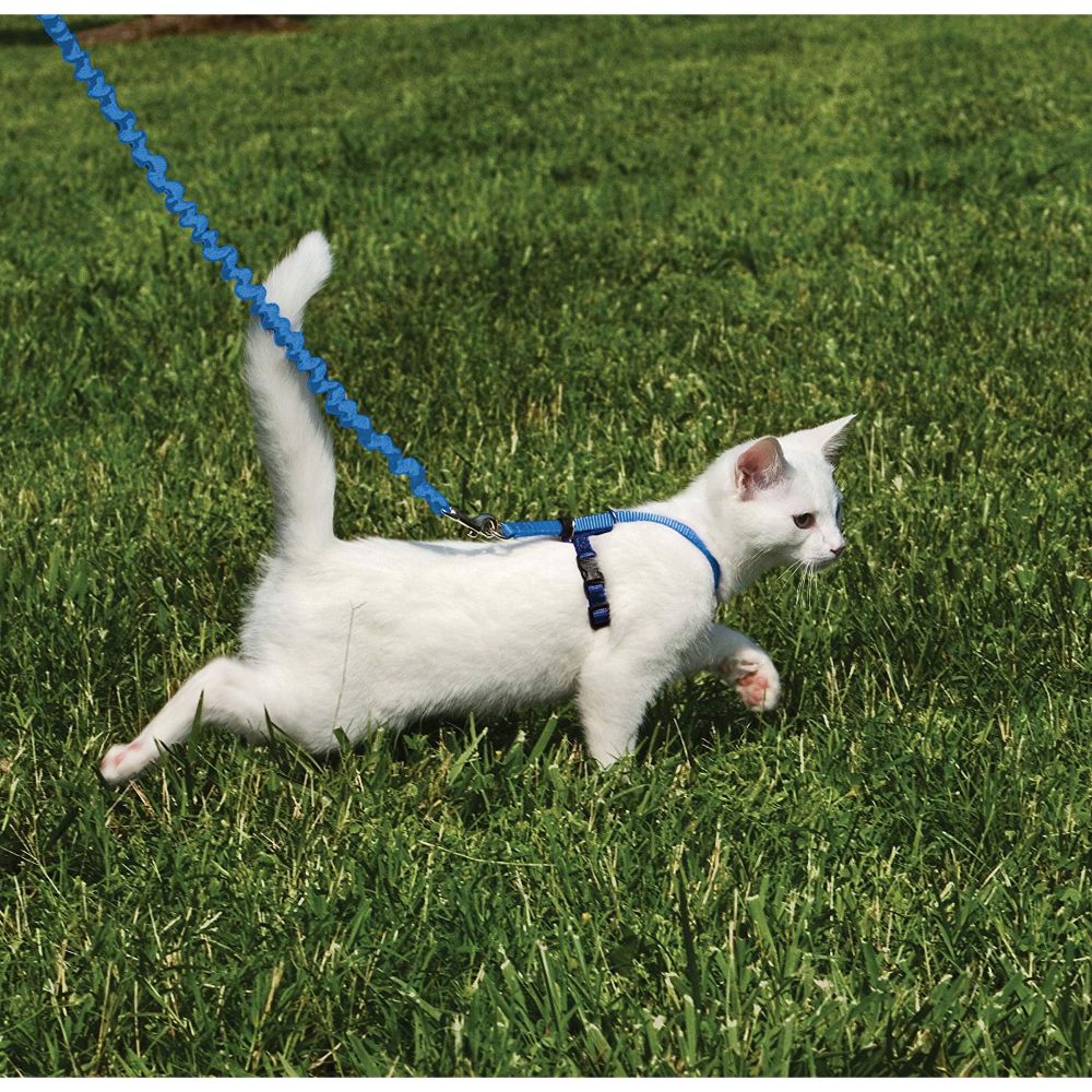 White Cat Cat Walks On Me Kid Connection Mini Walking Pet, White