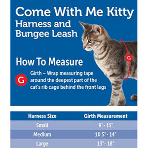 Come With Me Kitty Harness